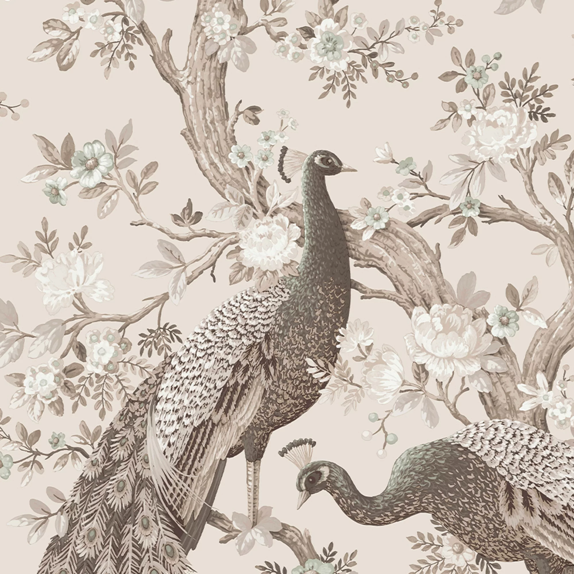 Laura Ashley Belvedere Soft Truffle Peacock Smooth Wallpaper 5 Laura Ashley Belvedere Soft Truffle Peacock Smooth Wallpaper - Image 3