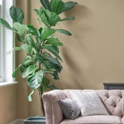 Laura Ashley Pale Gold Eggshell Emulsion Paint, 750ml 10 Laura Ashley Pale Gold Eggshell Emulsion Paint, 750ml -Laura Ashley laura ashley pale gold eggshell emulsion paint 750ml5011583473506 02i bq