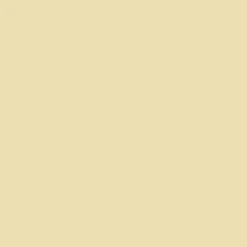 Laura Ashley Pale Gold Matt Emulsion Paint, 5L -Laura Ashley laura ashley pale gold matt emulsion paint 5l5011583472806 13c bq