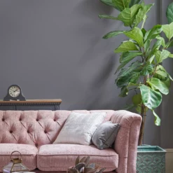 Laura Ashley Pale Iris Matt Emulsion Paint, 2.5L -Laura Ashley laura ashley pale iris matt emulsion paint 2 5l5011583472684 02i bq