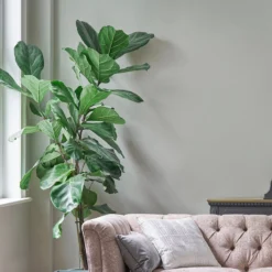 Laura Ashley Pale Sage Leaf Matt Emulsion Paint, 5L -Laura Ashley laura ashley pale sage leaf matt emulsion paint 5l5011583473117 01i bq