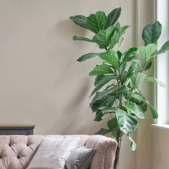 Laura Ashley Soft Natural Eggshell Emulsion Paint, 750ml -Laura Ashley laura ashley soft natural eggshell emulsion paint 750ml5011583473544 02i bq